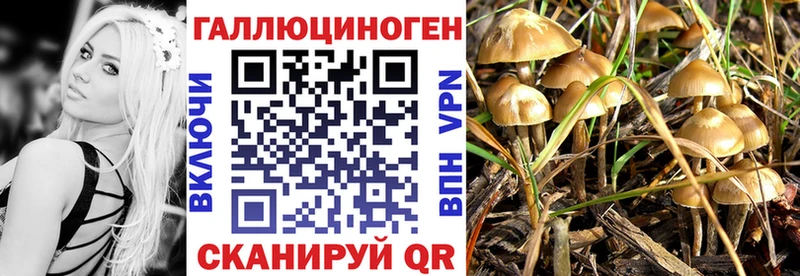 Купить закладки  Свободный  Галлюциногенные грибы Magic Shrooms 